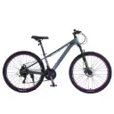 BICYCLE 26"(RH260019-15700-16)